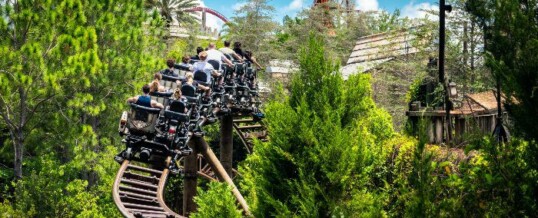 Universal Studios Roller Coasters Ranked Worst to Best