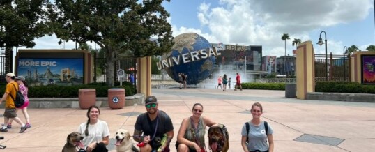 The Superior Accessibility Guide to Universal Orlando for Visitors with Disabilities